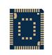 Quectel BG600LM3AA-D08-TA0AA